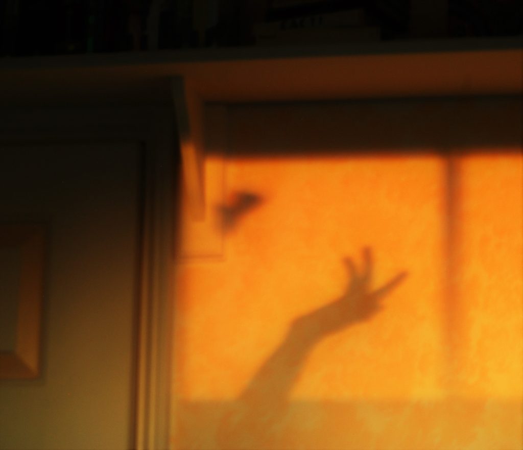 shadow of a hand on a wall in sunset light. Warm tones. A shadow of a butterfly is also visible.