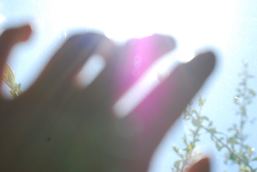 A hand reaches to the sunlight